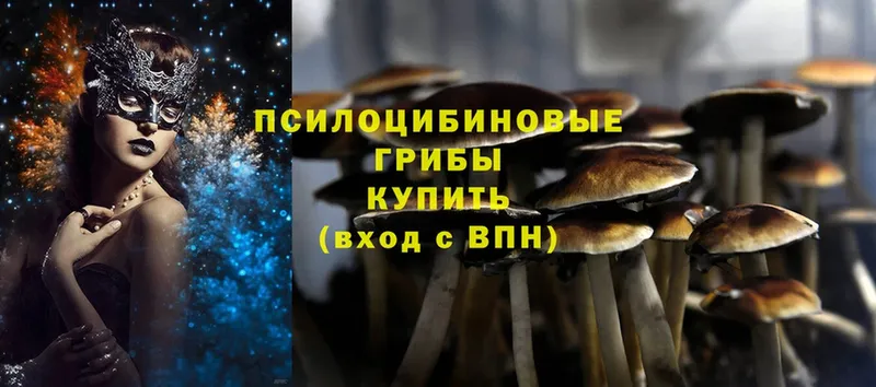 Галлюциногенные грибы Psilocybe  как найти закладки  Котельниково 